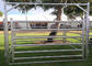 Galvanized Square Tube Livestock Fence Panel With 40X40MM For 1.5MM thickness Used in New Zealand
