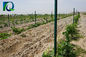 Green Powder Coated Agriculture Fence Posts , Vineyard Line Posts 1.8-3.5M
