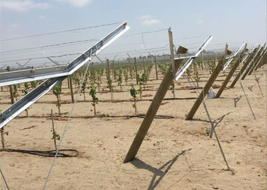 熱い浸された電流を通された金属のブドウのつるの棒は日光の範囲を育たせますブドウを可能にします