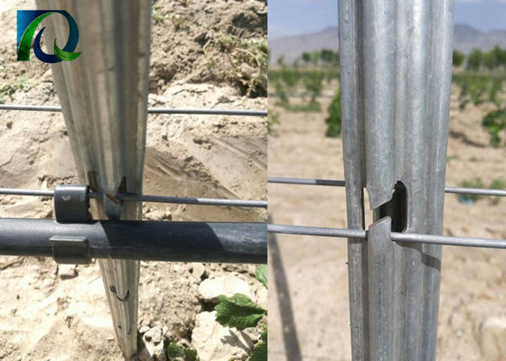 反錆1.6-3.0MMワイヤー54x30mmブドウ園の格子垣のポスト