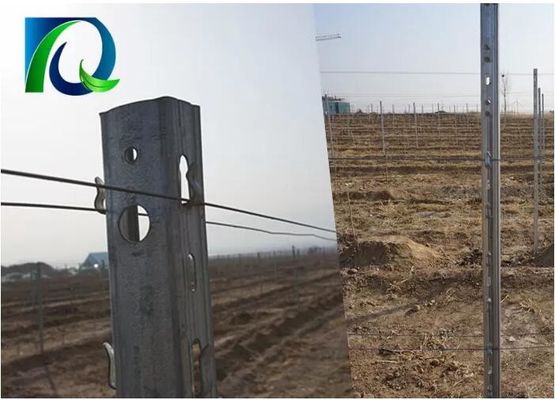 3.0mm Uのタイプ275G亜鉛金属果樹園の格子垣のポスト