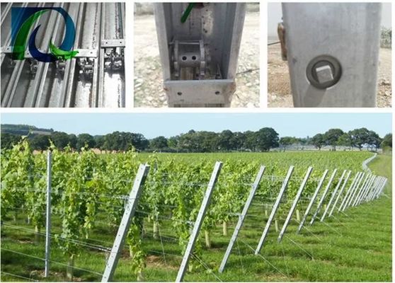2つの側面Hの穴が付いている1.5mm 54X30MMのブドウの格子垣のポスト